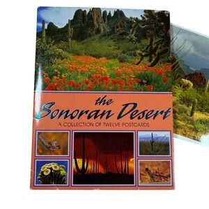 VTG Impact Sonoran Desert Postcard Partial Set Multicolor Nature 11 Cards